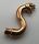 28588 | Chrome COPPER Snake Head with Open Mouth, Fangs and Curved Neck with Bar | Custom Chromed by BUBUL