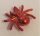 30238 | Chrome Red Spider | Custom Chromed By BUBUL